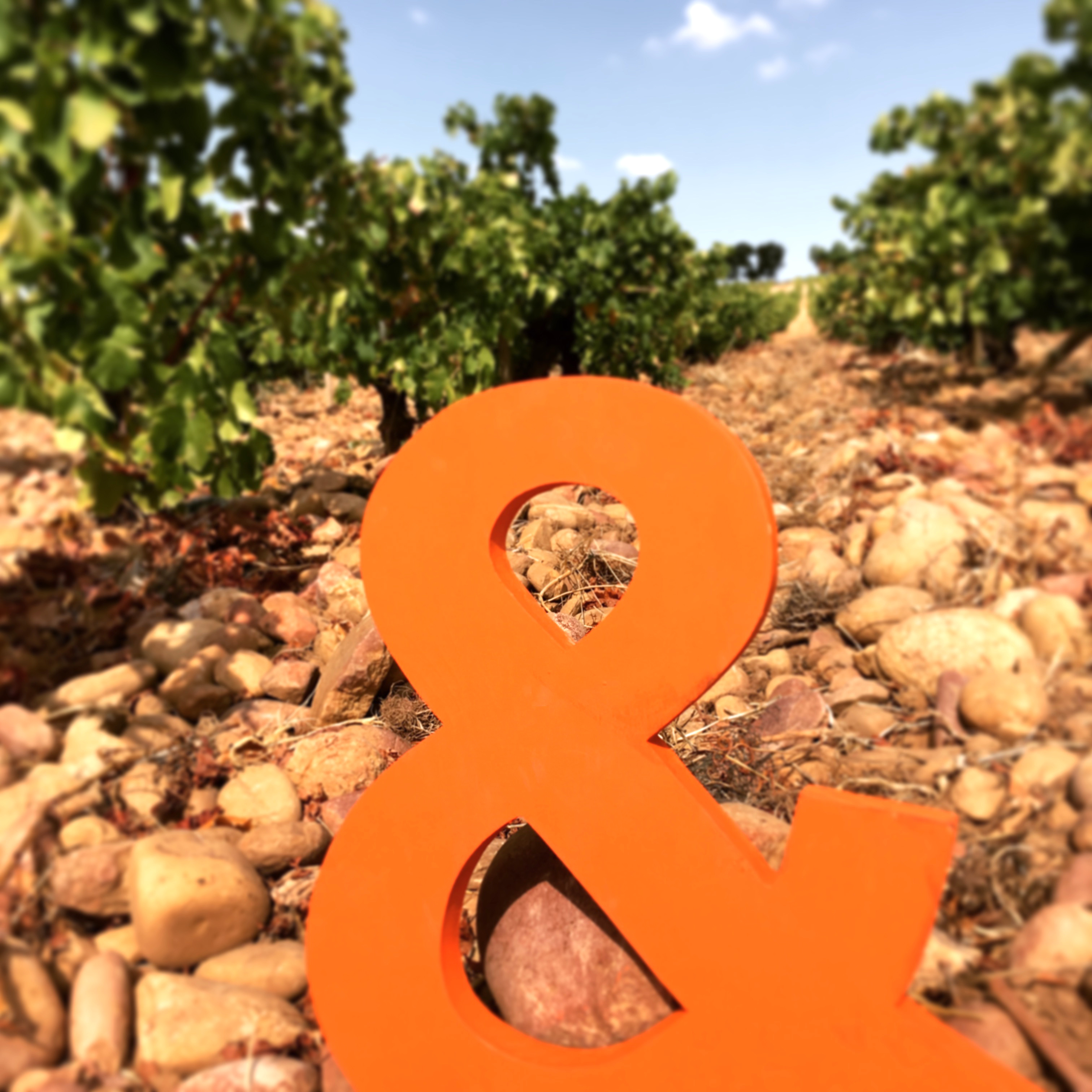 Vignobles & Companie