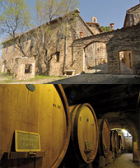 Castelli Martinozzi Societa Agricola S.S.