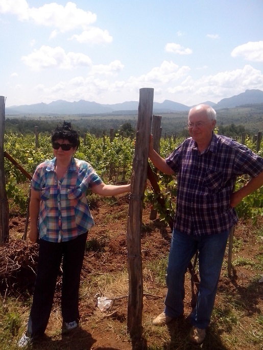 Borovitza Winery