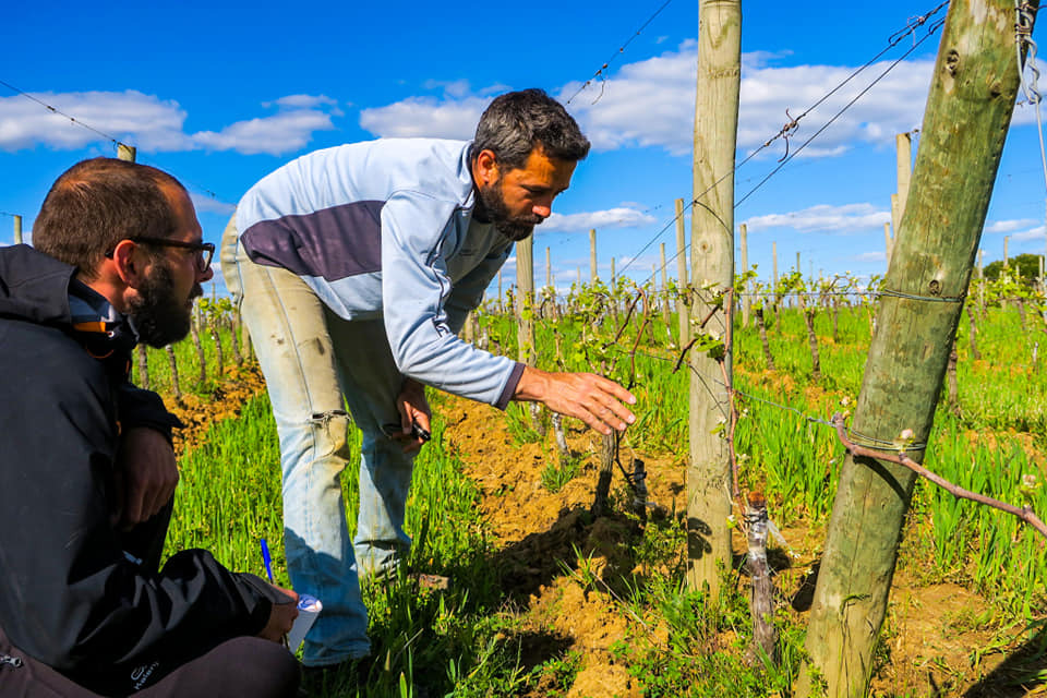 Domaine de L'ile Rouge