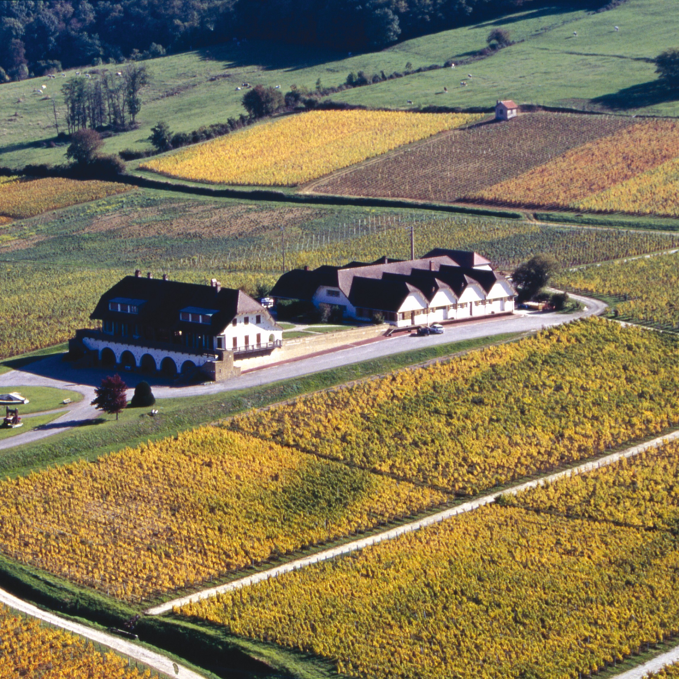 DOMAINE DE LA PINTE