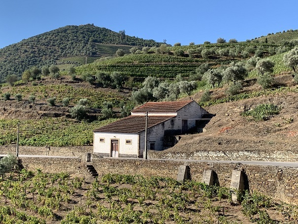Companhia de Vinhos Invencivel