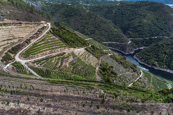Adegas Guimaro