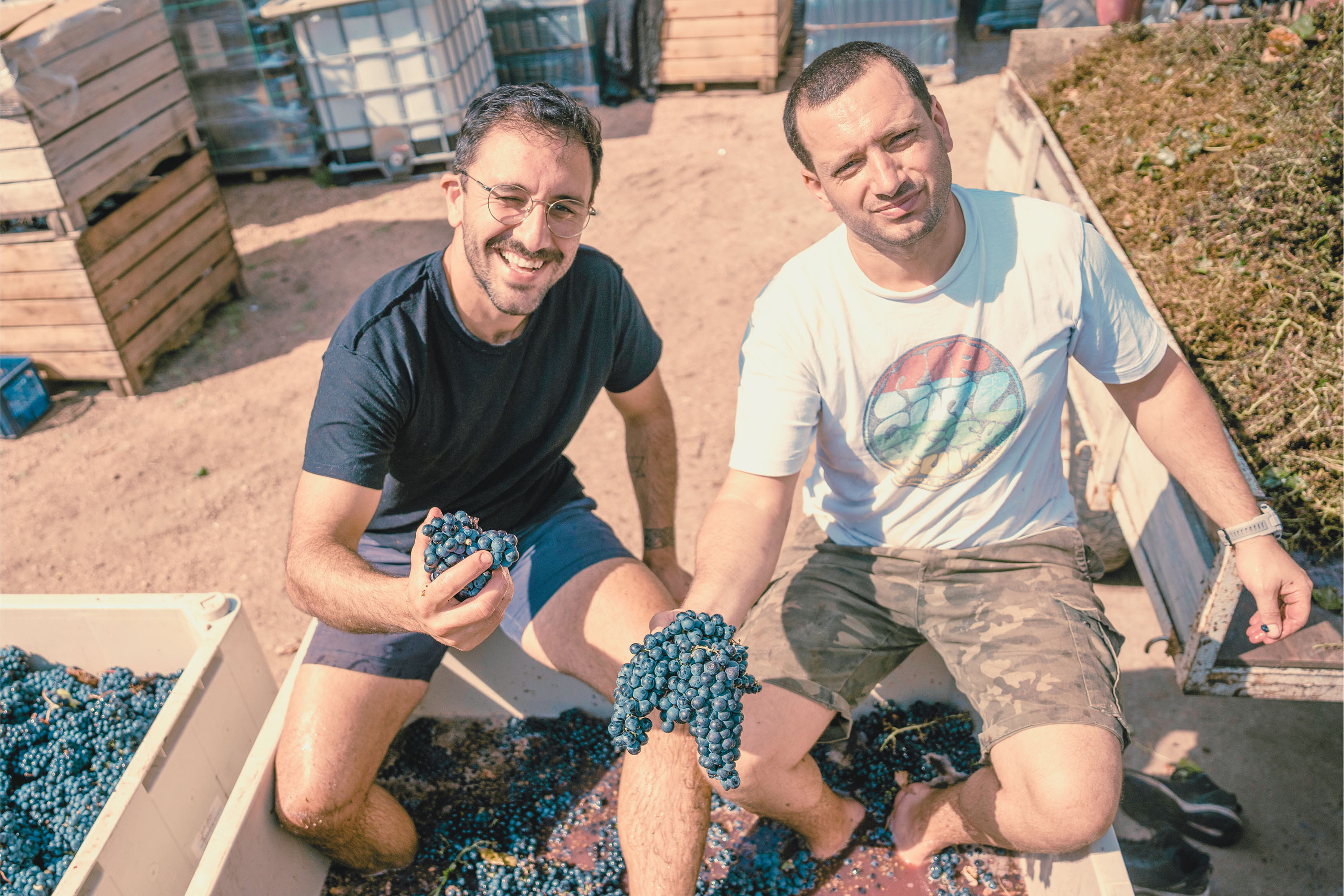 Proyecto Nakkal Wines