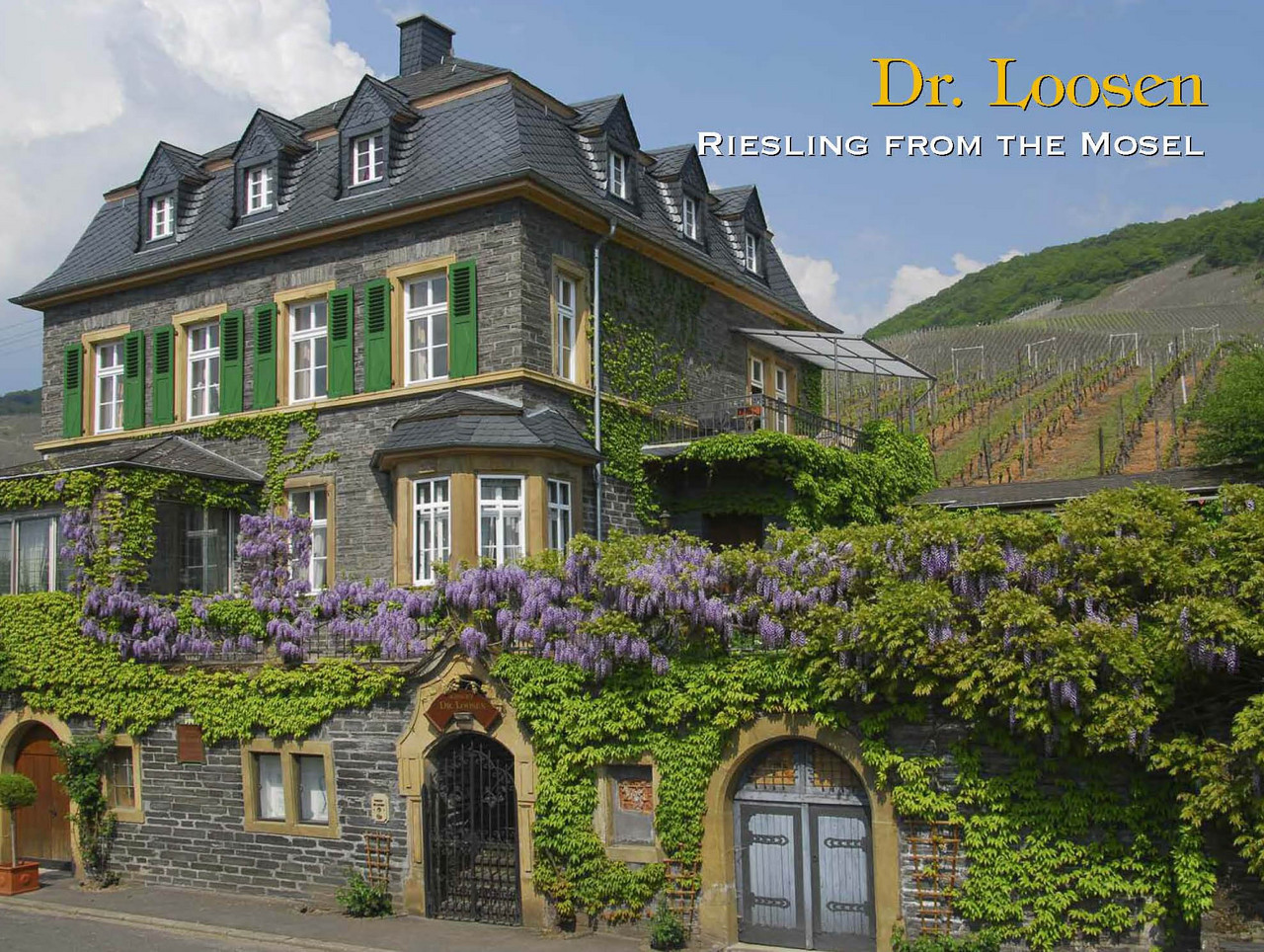 Weingut Dr. Loosen