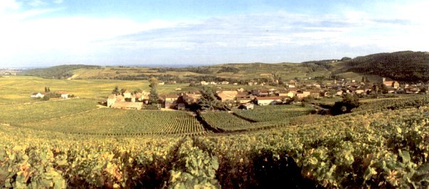 SCE Chateau de Fuisse