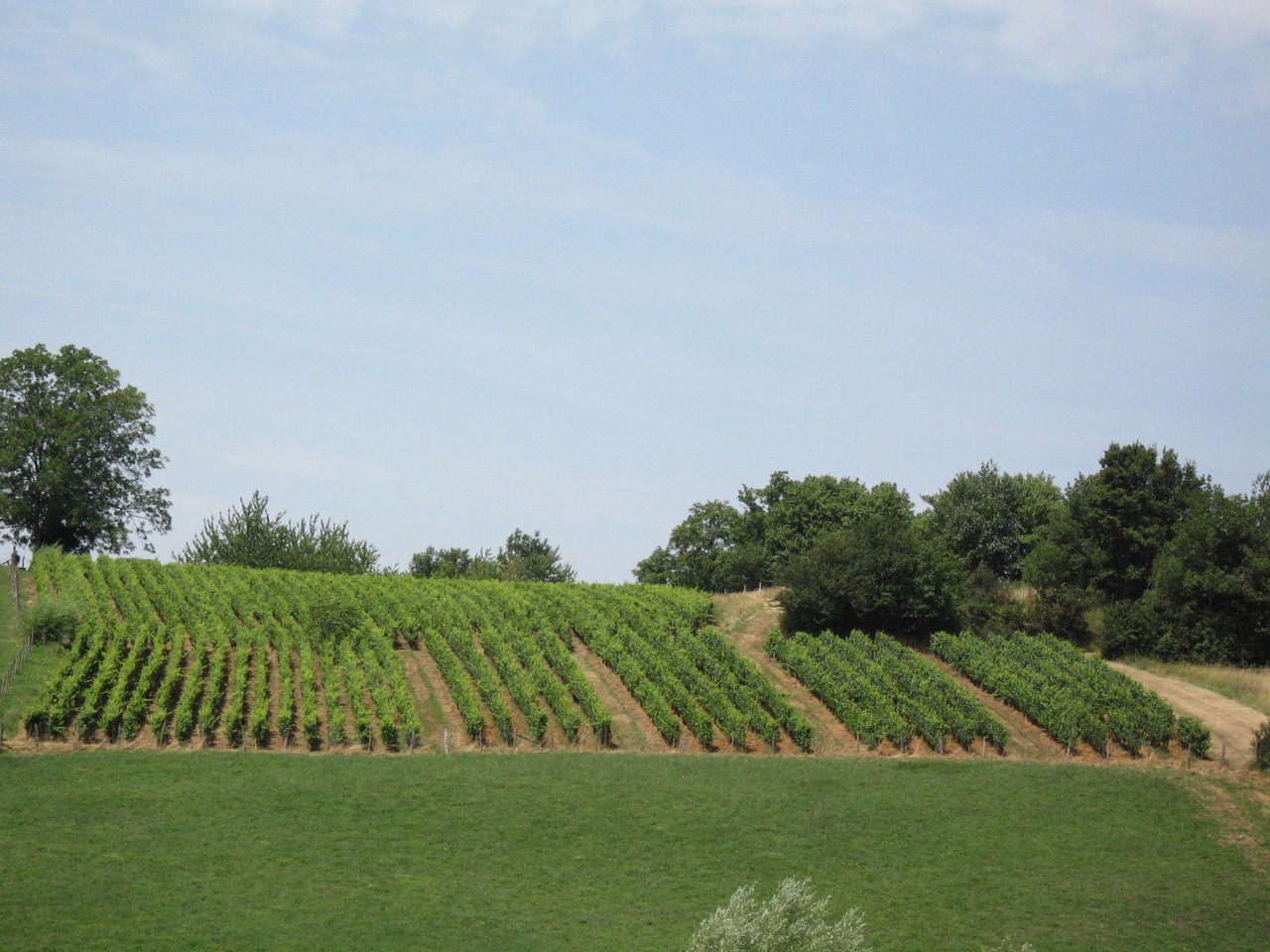 Domaine Labet