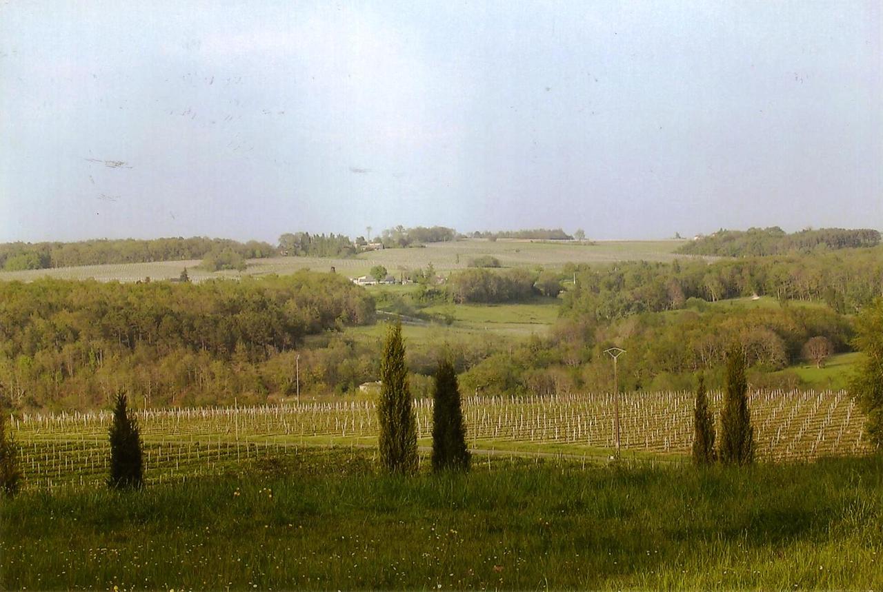 Chateau Couronneau