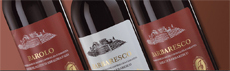 GIACOSA BRUNO SRL