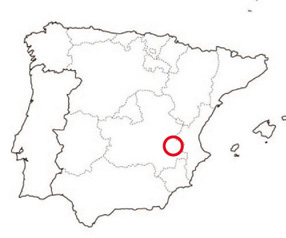 Bodegas y Vinedos Ponce