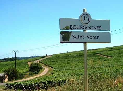 Vignerons des Terres Secretes