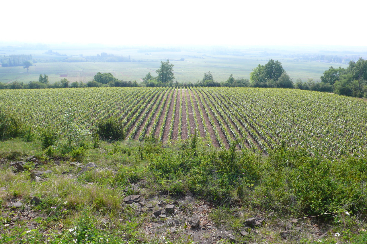 Domaine Michel Dupont-Fahn