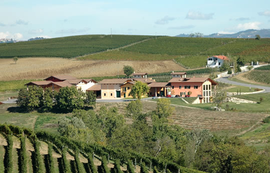 Cantine San Silvestro