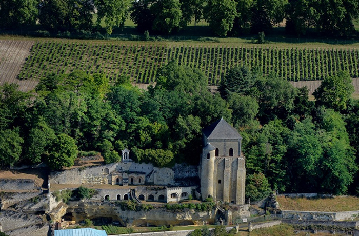 Domaine Vigneau-Chevreau