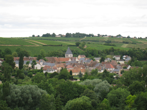 Domaine Michel Thomas