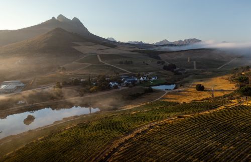緩やかな傾斜に囲まれた、美しい畑