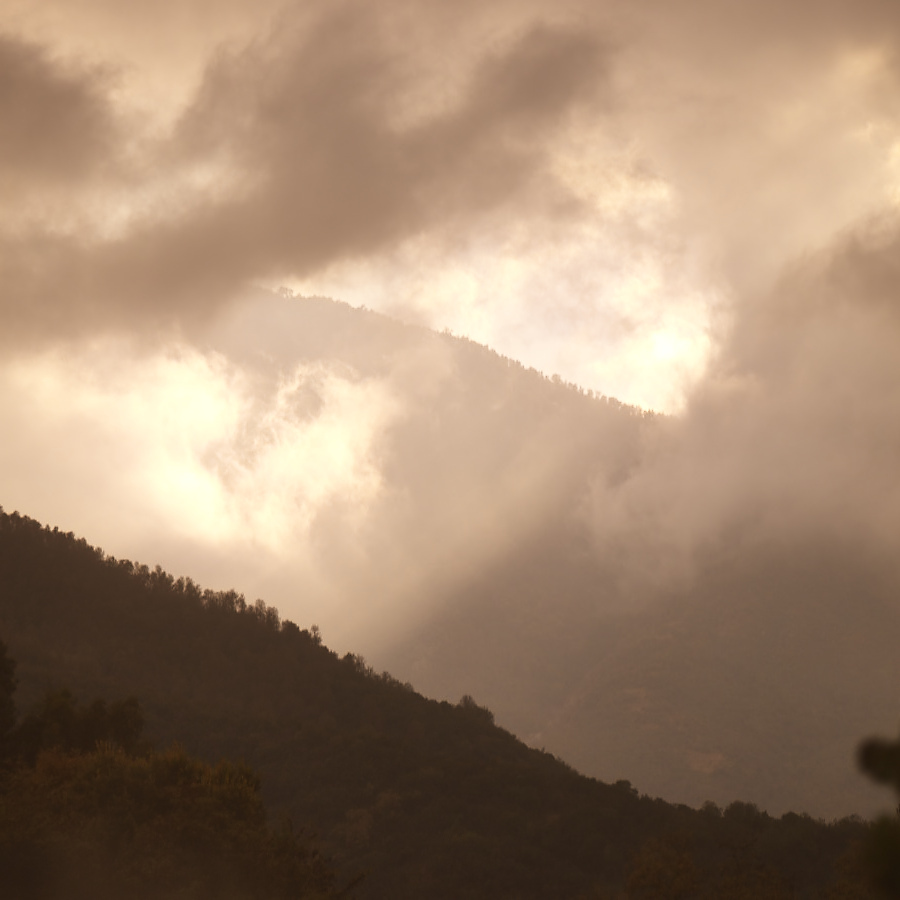 テロワール_アパルタという特別な土地