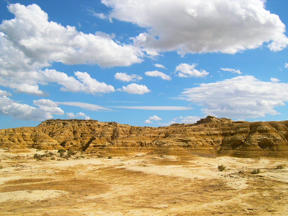 テロワールを写し取った美しい名前