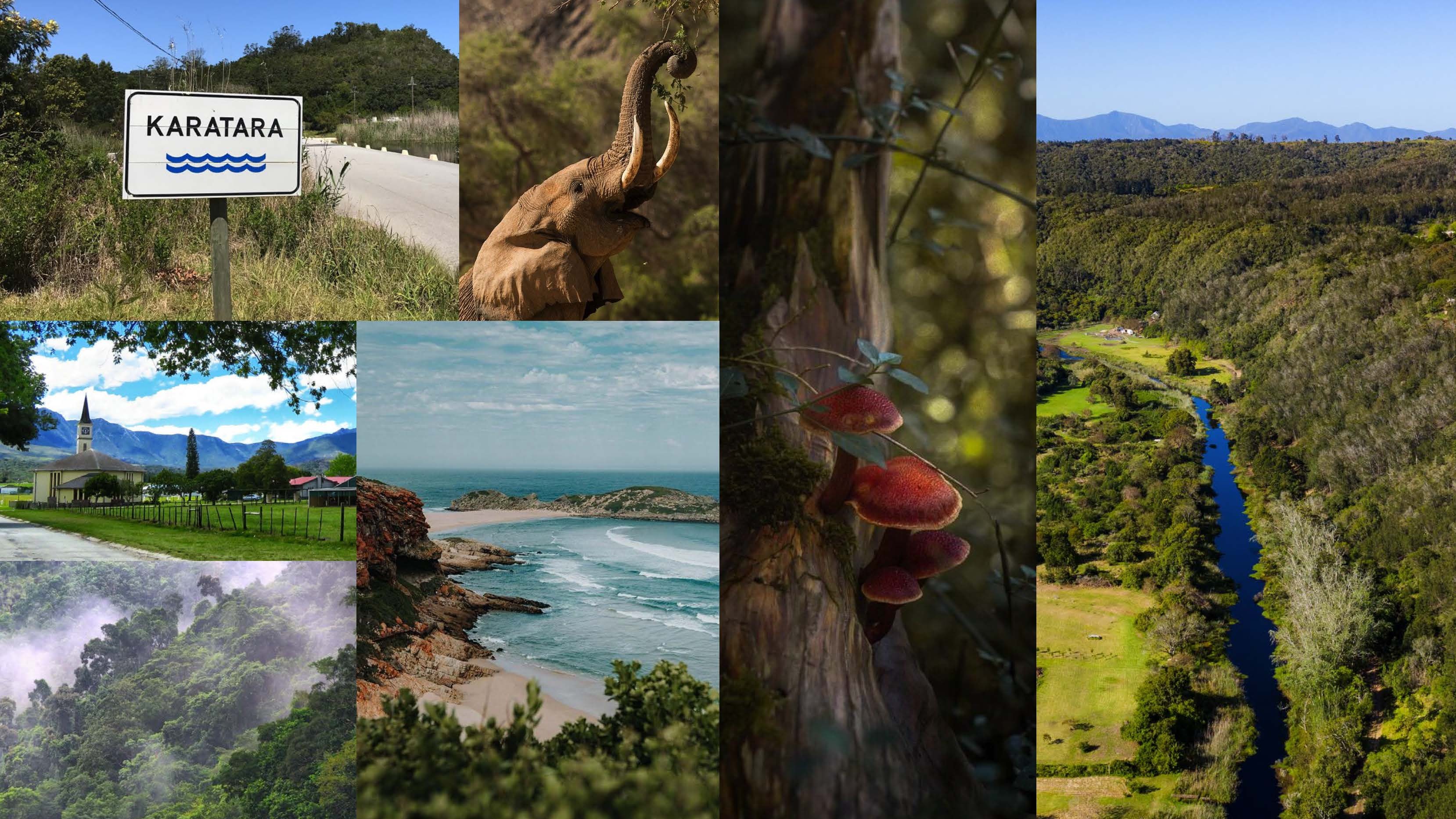 「まるでシャブリ」----&amp;nbsp; シャルドネという定番品種をフレッシュかつエレガントに表現した1本