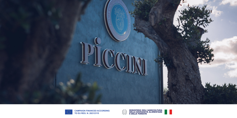 Piccini 1882