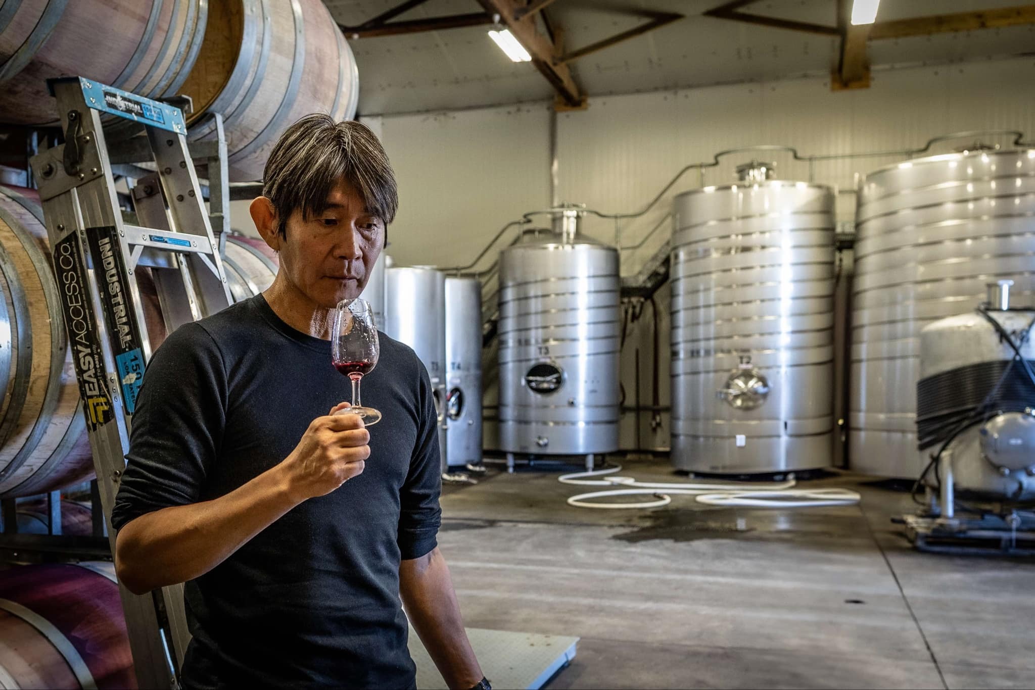 Taka K Wines
