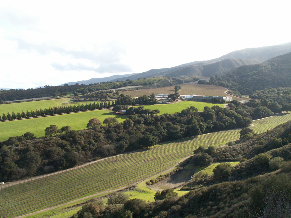 テロワールにかける思い