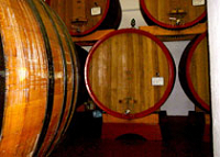 トスカーナ州の「No.1コストパフォーマンス・ワイン」にも選ばれた経歴を持つ、実力派！