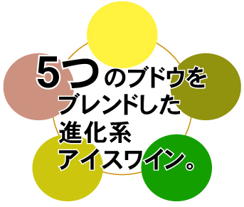 5つの品種から産まれる珍しいアイスワイン!