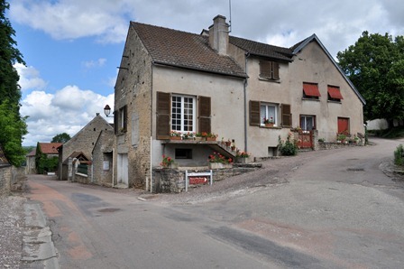 自然環境に配慮し、有機栽培を実践するブルゴーニュの造り手