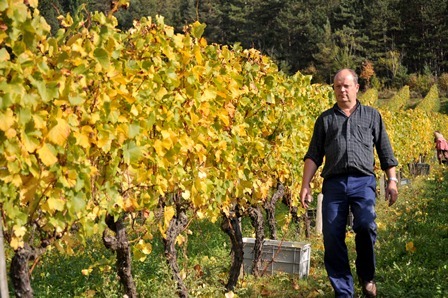 ビオディナミ＆ビオロジック（Qualite-France認証）を実践