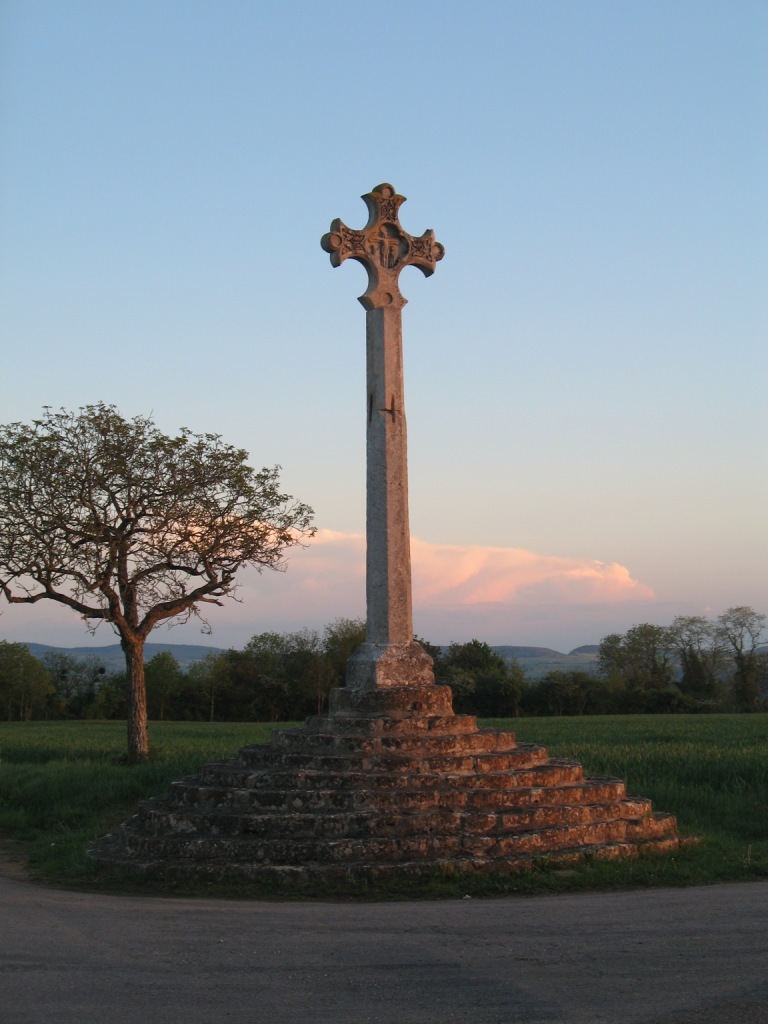 世に知れ渡るような素晴らしいワインを造りたい