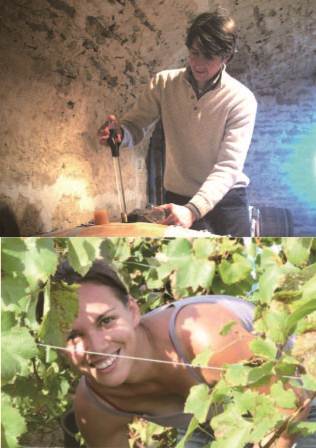 情熱と才能に溢れた夫婦、マシュー＆ソフィー