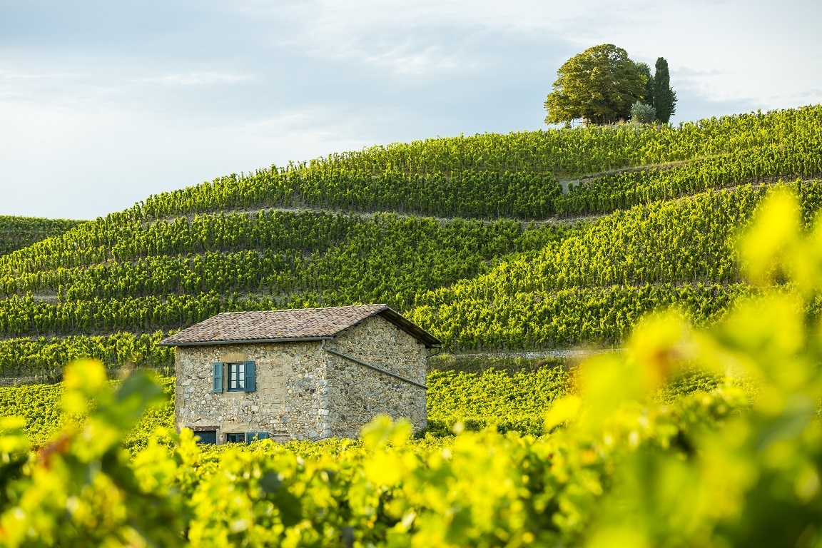 Domaine de la Chapelle