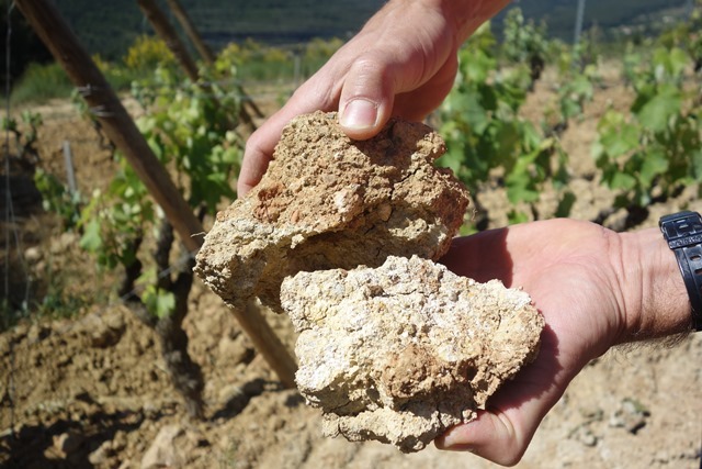 カナデルの畑を構成する粘土を含んだ石灰質土壌