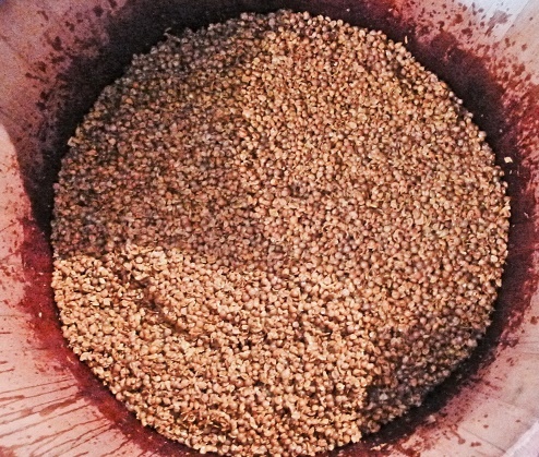 開放式の木樽で発酵されるリボッラ・ジャッラ