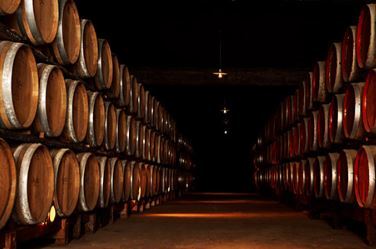 ハイコスパを誇るチリの老舗メーカー