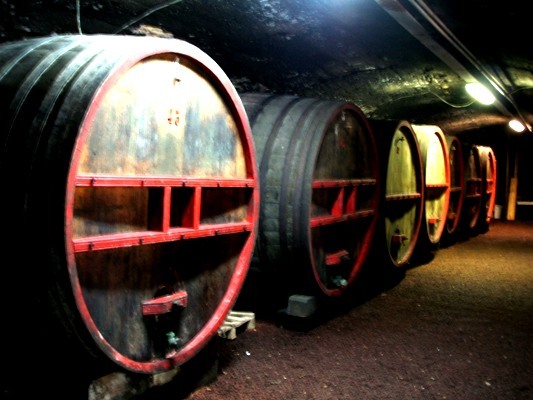 ワインが熟成される大樽