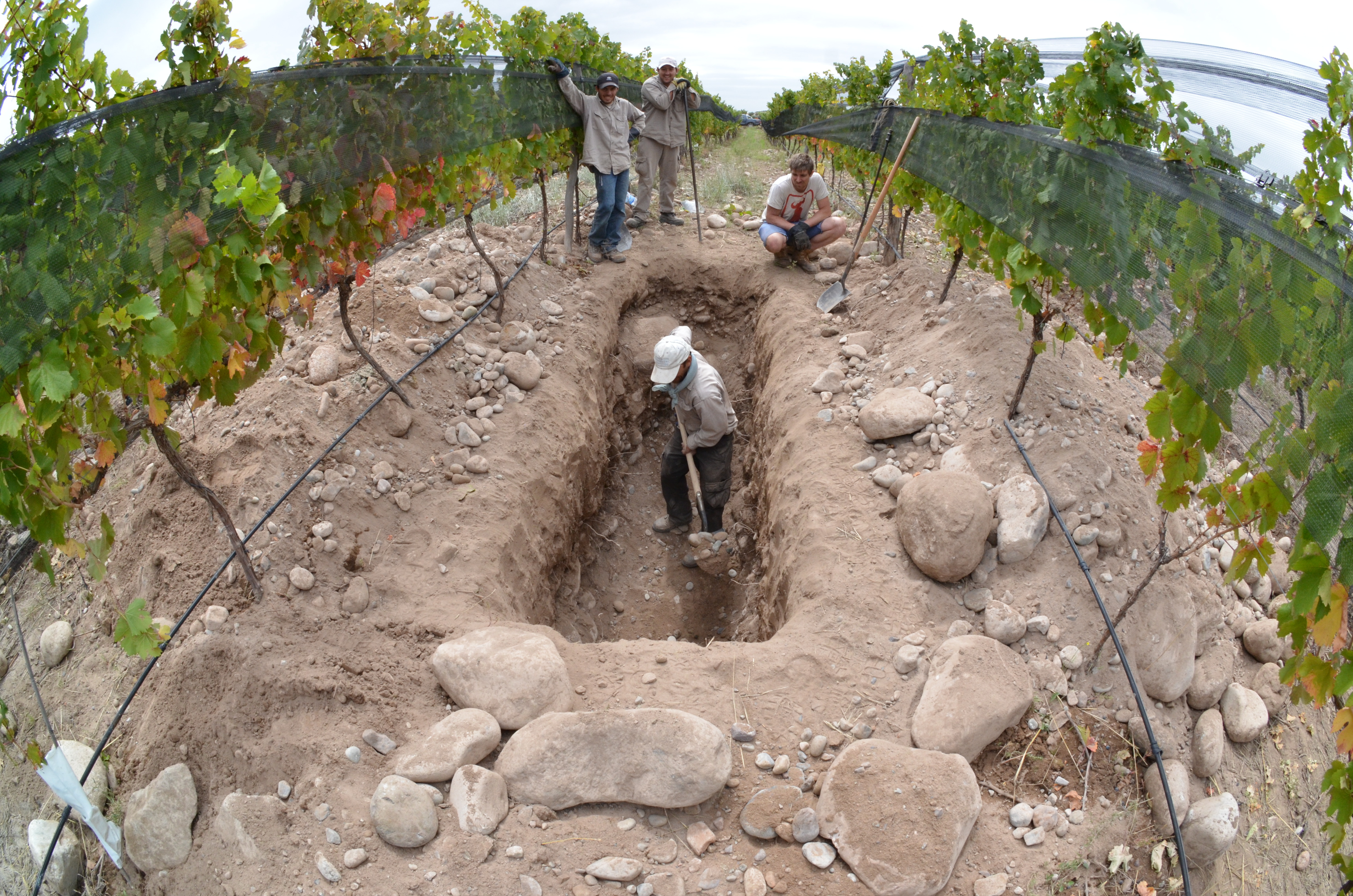 パラヘ・アルタミラの土壌調査の様子